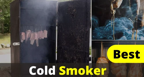 Best Cold Smoker