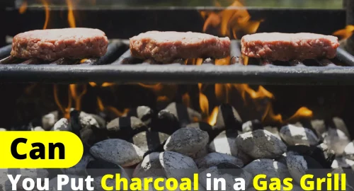 Can You Put Charcoal in a Gas Grill