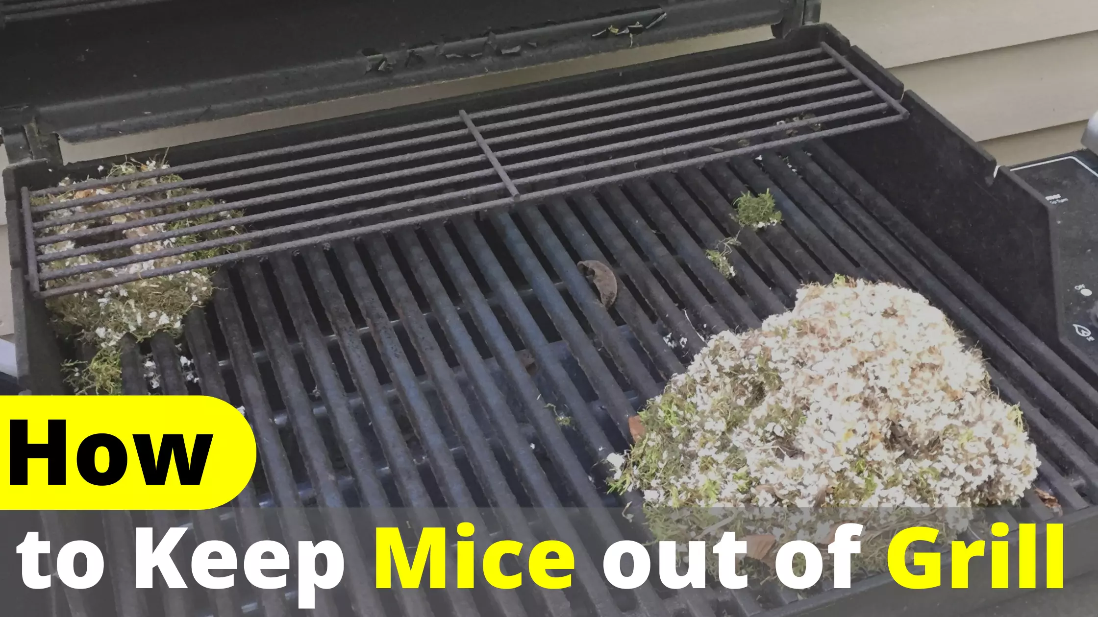 How to Keep Mice Out of Grill